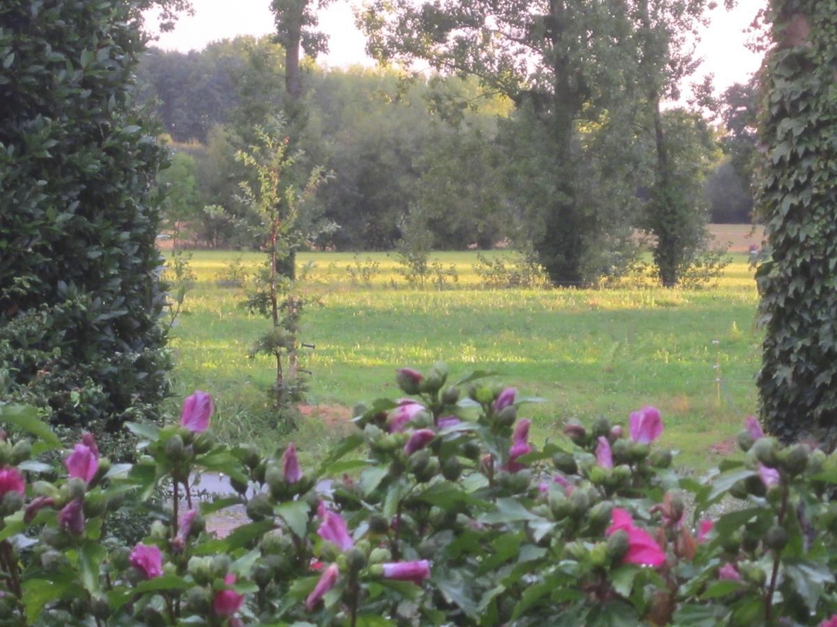 Domaine De La Fontaine Bed & Breakfast Chavagne Bagian luar foto